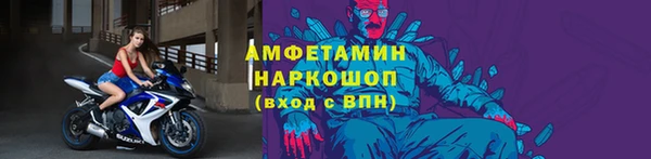 молекула духа Алексин